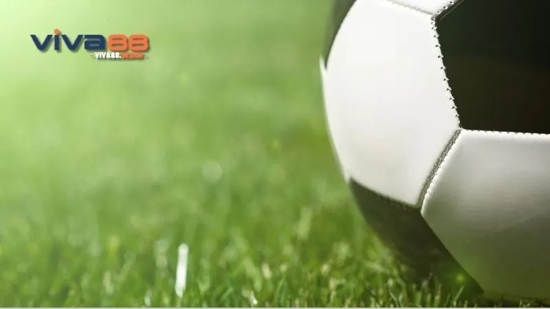 ca-do-bong-da-qua-mang-meo-ca-do