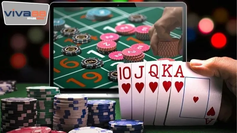 Các loại hình cược và sản phẩm cá cược được cung cấp ở tại Viva88